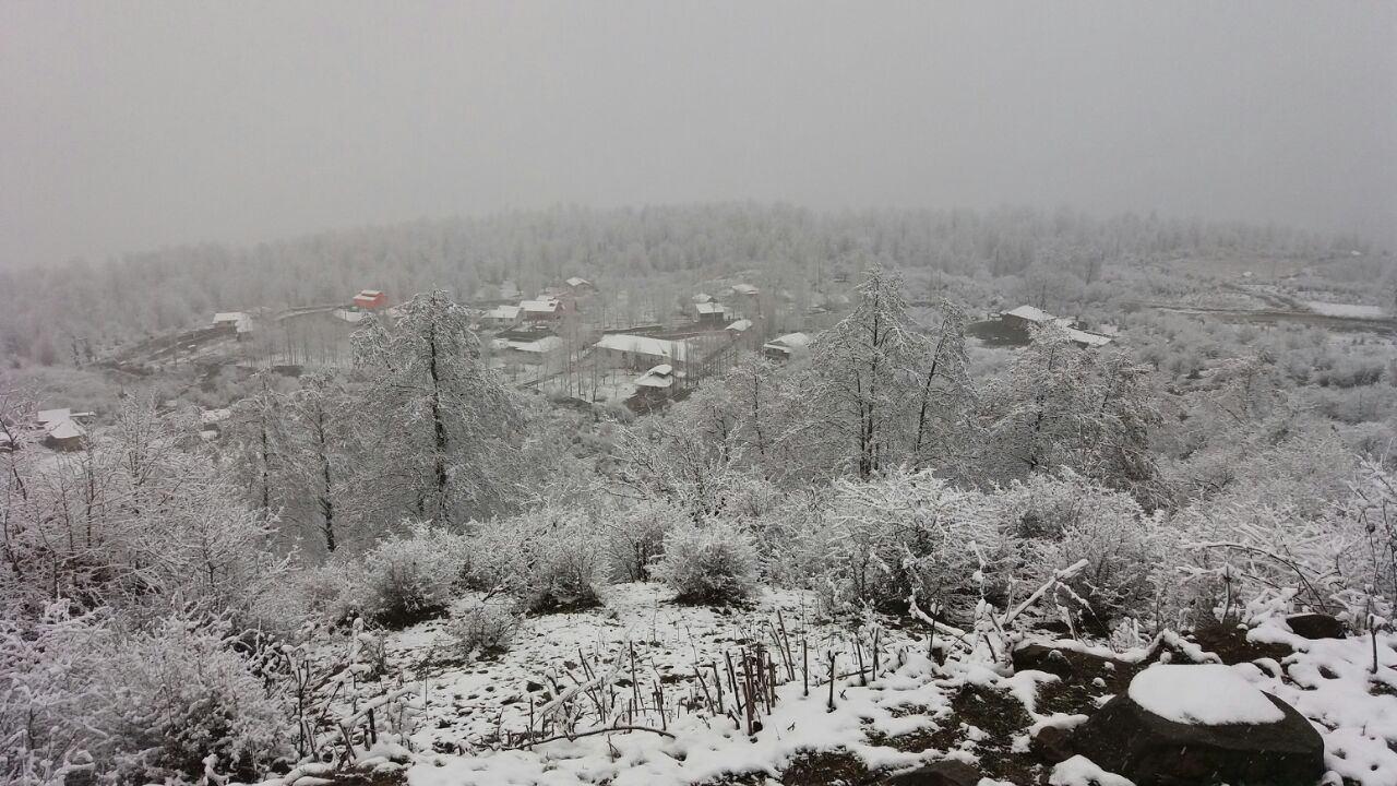 تعطیلی مدارس در پی بارش برف در مازندران