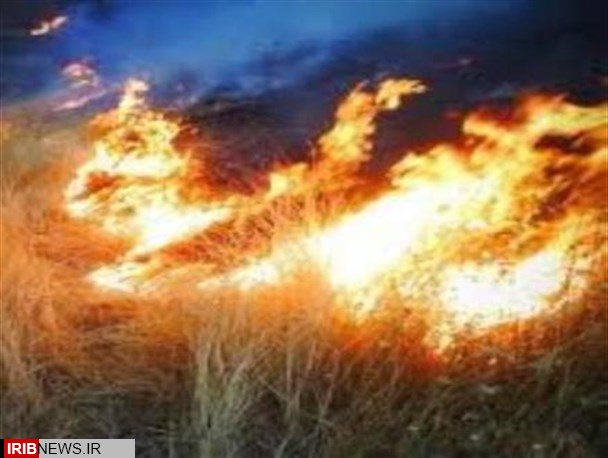 شعله های آتش جنگل ها و مراتع بخش شاهو را در برگرفته است