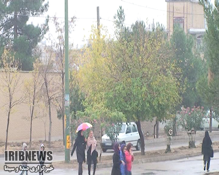 بارش باران در فارس