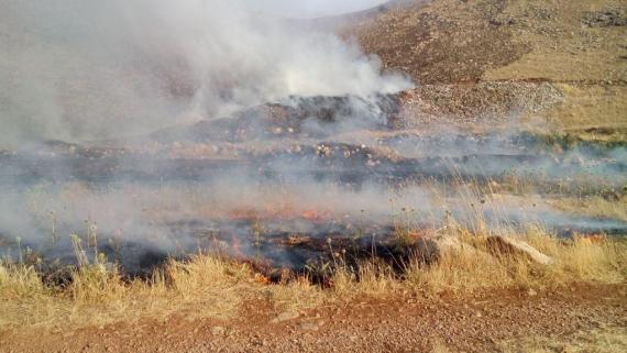 مهار آتش سوزی در 15 هکتار از جنگل ها و مراتع بخش شاهو
