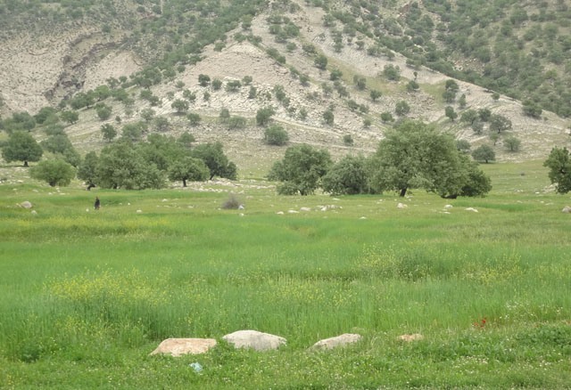 طبیعت زیبای روستای آبدهگاه باشت + عکس