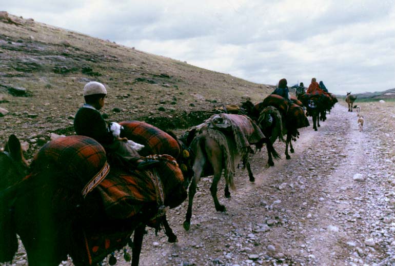 آغاز کوچ بهاره عشایر بختیاری از خوزستان به مناطق ییلاقی