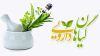 کسادی بازار صادراتی گیاهان دارویی ایران