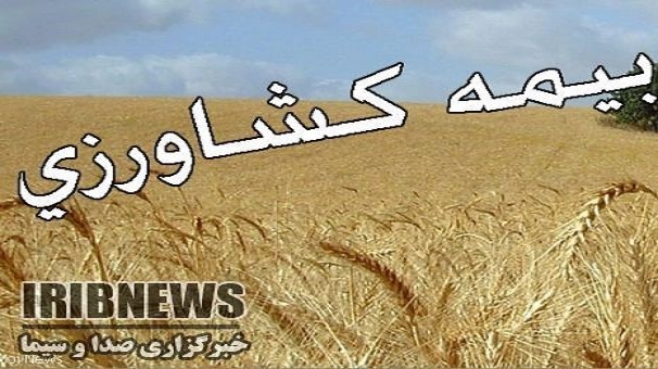 واپسین روزهای بیمه گری محصولات زراعی