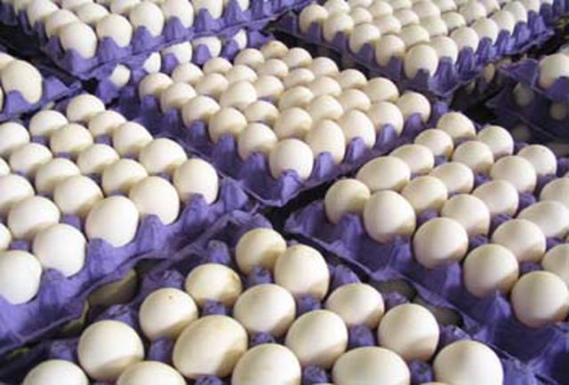 کاهش قیمت تخم‌مرغ در  خراسان رضوی
