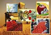 بازگشت ۱۴ واحد تولیدی بخش کشاورزی به چرخه تولید 