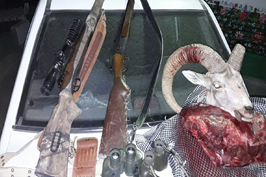 دستگیری یک متخلف شکار و صید همراه با لاشه یک قوچ وحشی در منطقه حفاظت شده کهیاز اردستان