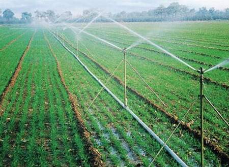 آبیاری نوین در بیش از 3 هزار هکتار زمین کشاورزی گچساران