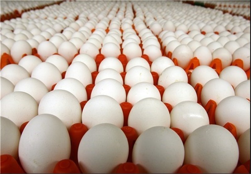 صدور روزانه 200 تن تخم مرغ از خراسان رضوی