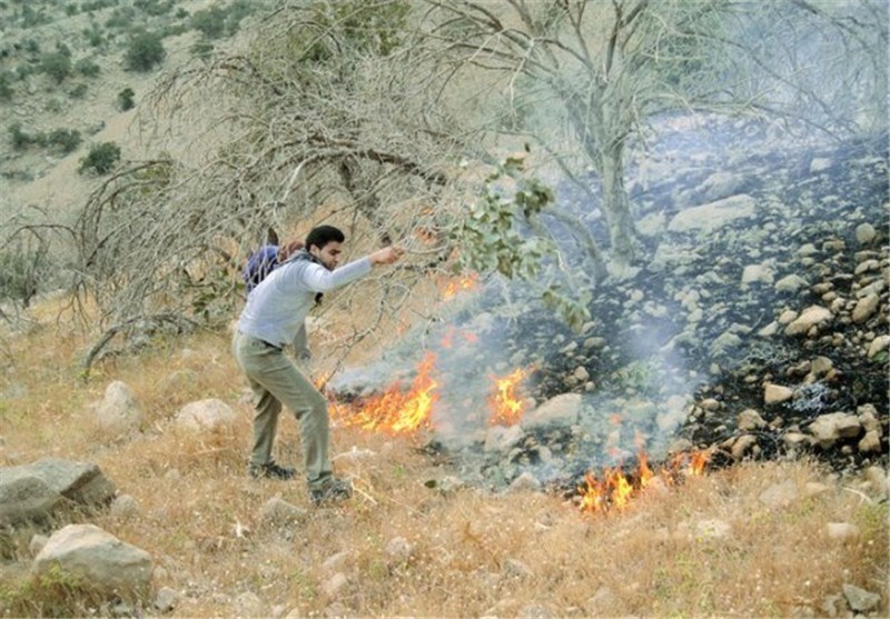 آتش سوزی در ارتفاعات منطقه حافظت شده ی مله گاله