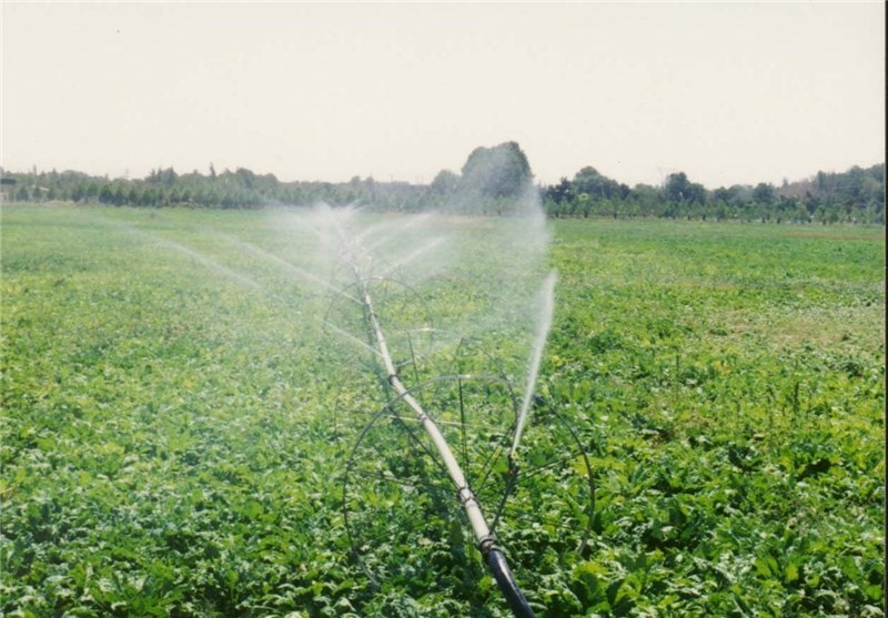 ۷ و نیم میلیارد متر مکعب آب در کشاورزی صرفه جویی شد