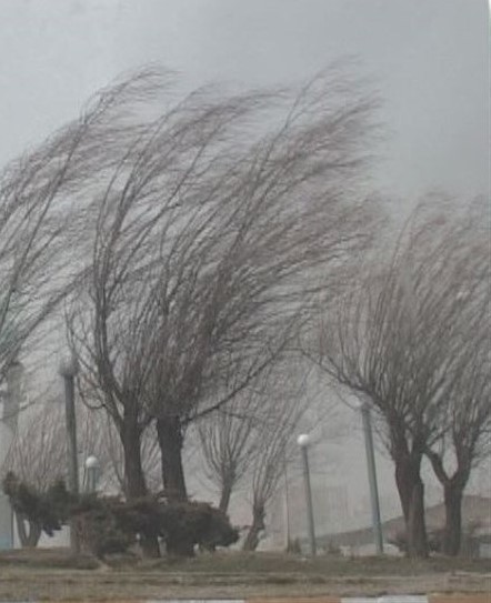وزش باد شدید در اردبیل