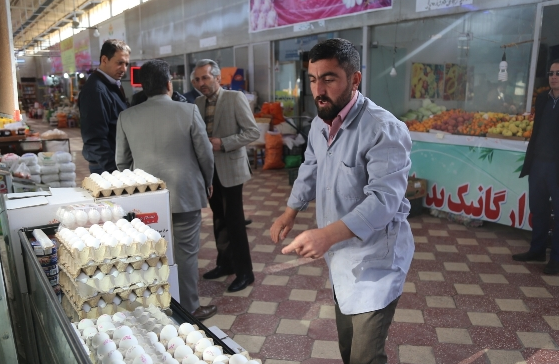 توزیع تخم مرغ طرح تنظیم بازار در نیشابور