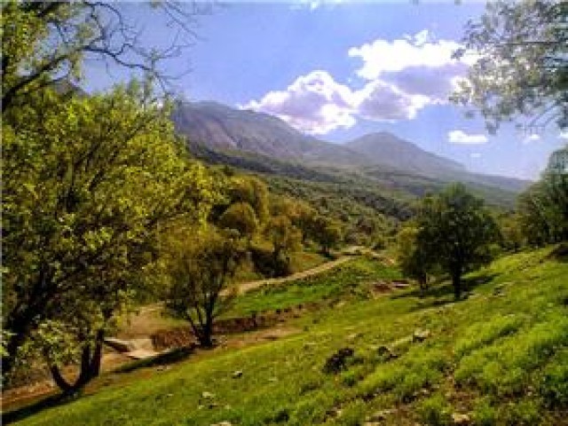 نهالستان منابع طبیعی شهرستان اسلام آباد غرب ضدعفونی شد