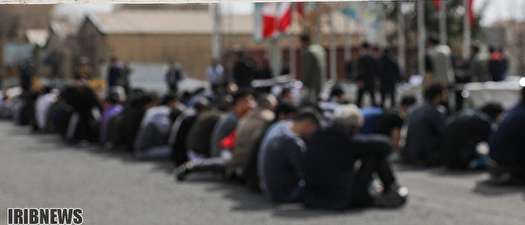 دستگیری 138 سارق حرفه ای در پایتخت