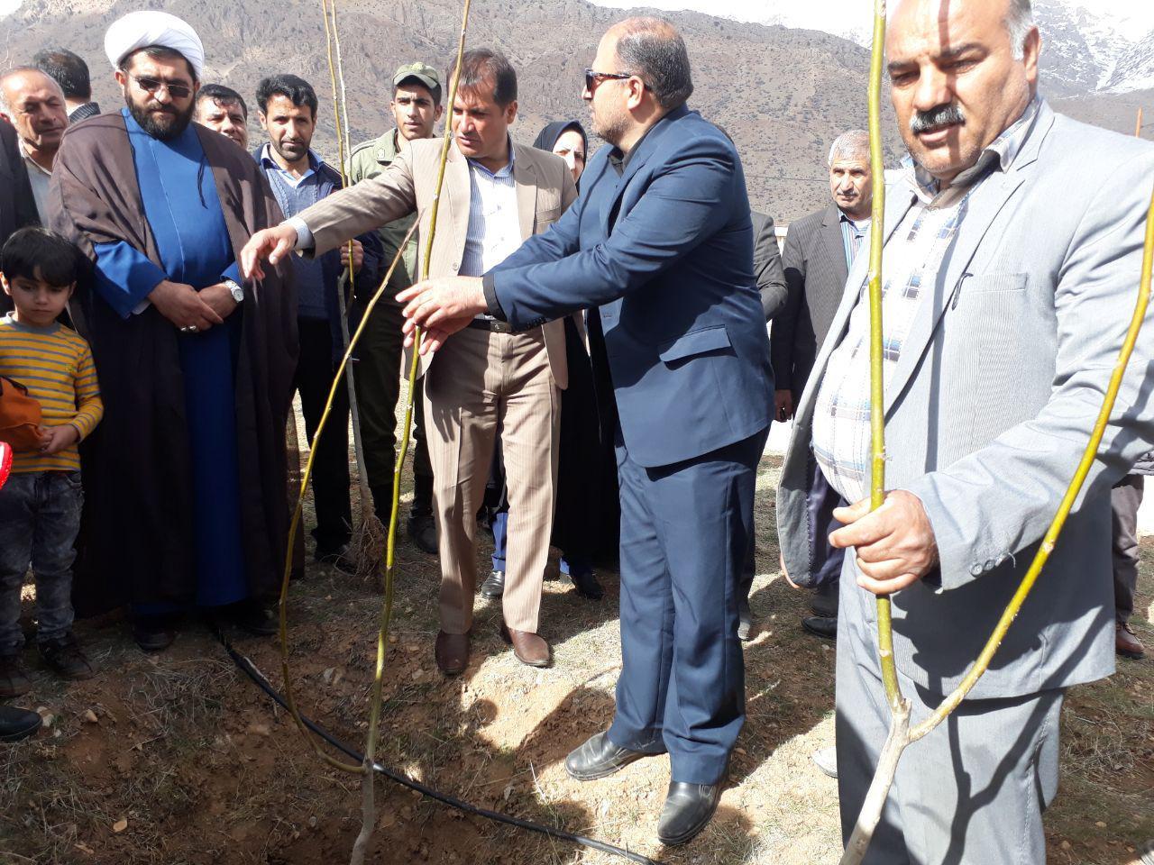 کاشت ۶۶ نهال به یاد مسافران آسمانی پرواز آسمان