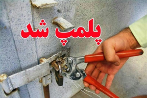 امحا کیک و کلوچه هایی با طعم چوب