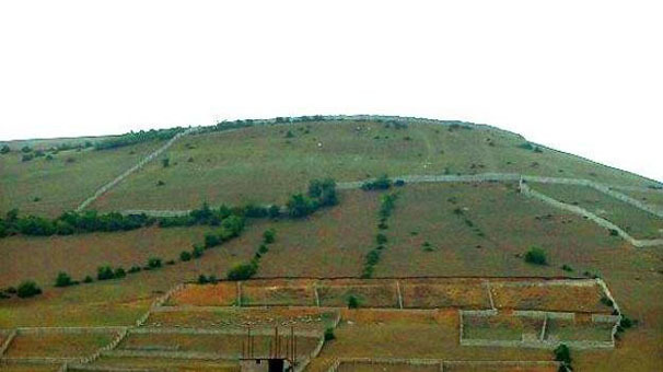 مکاتبه وزير راه و شهرسازي با دادستان کل کشور درباره اراضي دولتي