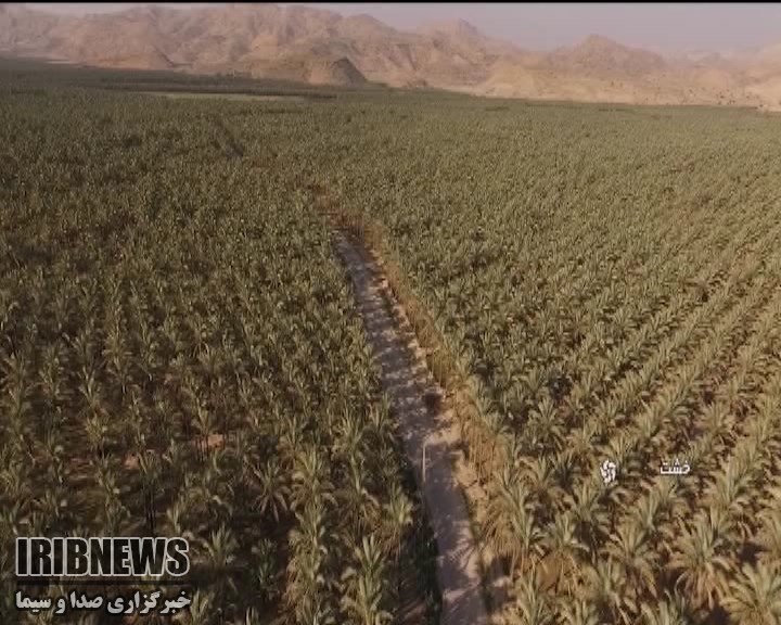 مرزی‌ترین بخش فارس با بوشهر، میزبان مهمانان نورزی