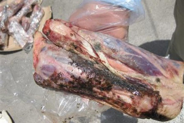 کشف ۱۶۰ کیلوگرم گوشت قرمز کشتار غیرمجاز و مرغ فاسد در هرسین