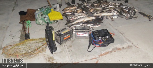 کشف و ضبط 310 قطعه ماهی از صیادان غیرمجاز در پارس آباد
