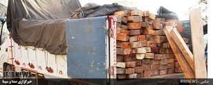 کشف 158 اصله چوب آلات قاچاق جنگلی در استان اردبیل