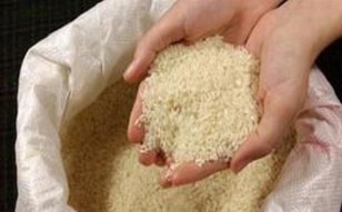 کشف 50 تن برنج قاچاق