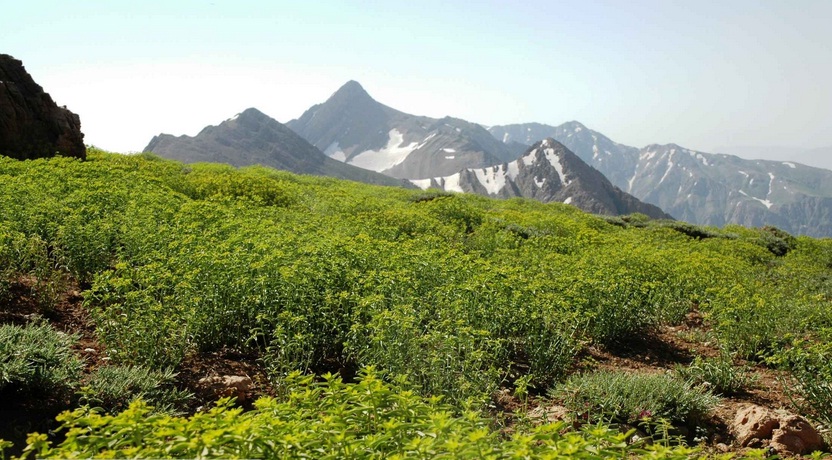 جاذبه های دیدنی شهر سی سخت