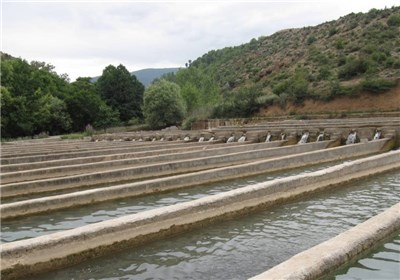 پرورش ماهیان خاویاری در گچساران