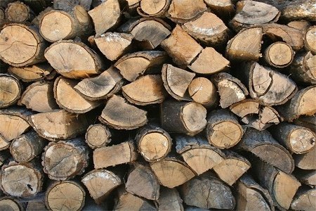 کشف 350 اصله چوب آلات قاچاق جنگلی در استان اردبیل
