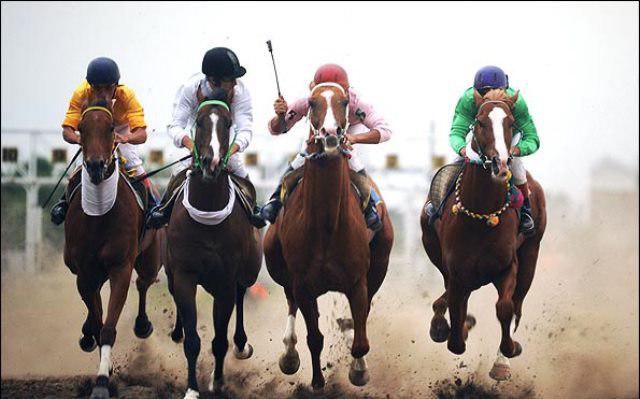 سپیدان میزبان مسابقات اسب دوانی جنوب کشور