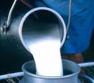 کشف صدکیلوگرم شیر فاقد مجوز دامپزشکی در قزوین