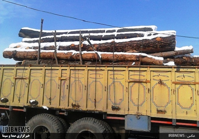 کشف 540 اصله چوب آلات قاچاق جنگلی در استان اردبیل