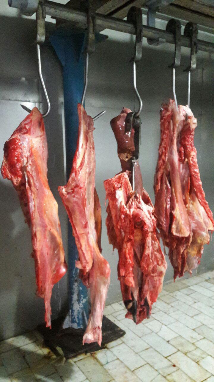 معدوم سازی 170 کیلوگرم گوشت قرمز در شهرستان بیرجند