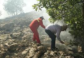 مهار آتش سوزی منابع طبیعی و مراتع باشت