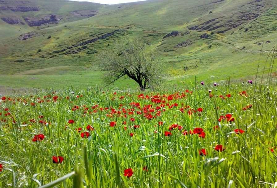 جاذبه های دیدنی و زیبای ایران (+عکس)