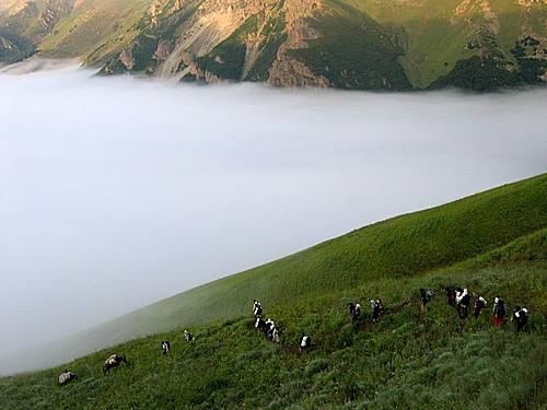 سفر به دشت ها و دره های سرسبز ایران