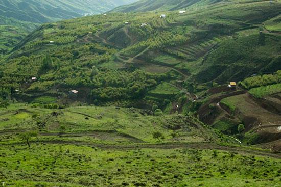 سفر به دشت ها و دره های سرسبز ایران