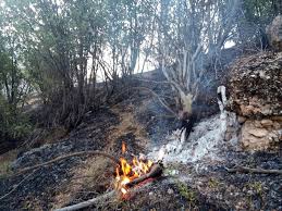 مهار آتش در جنگلها ومراتع کوههای مشرف برشهر باشت