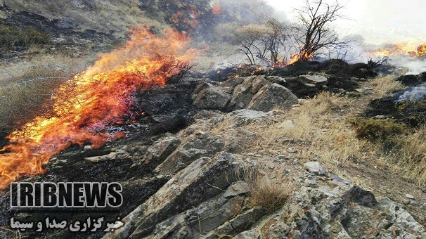 هشدار افزایش آتش سوزی ، زنجان