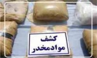 از زنده گیری مار پلنگی تا اسیدپاشی+فیلم