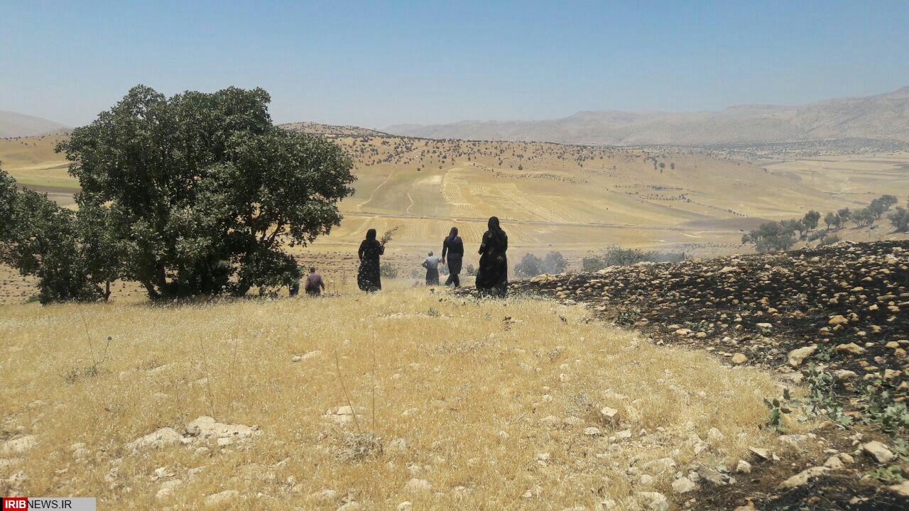 ۱۲۰۰ متر از مراتع مشجر پی کله در دهستان حیدریه بخش گواور طعمه حریق شد