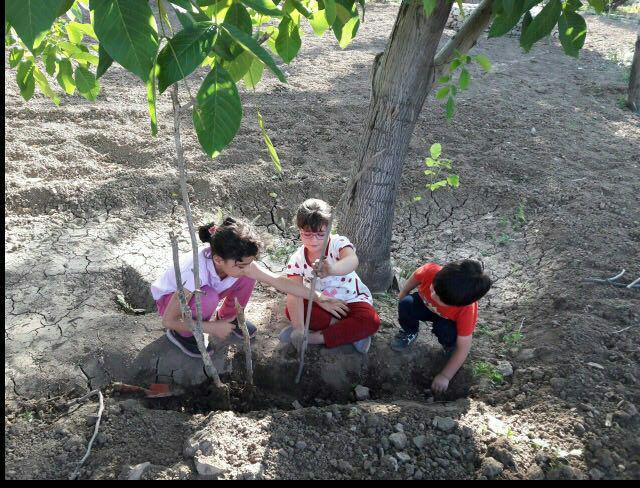 آغاز فعالیت مدرسه طبیعت باغ گیلو در بافق