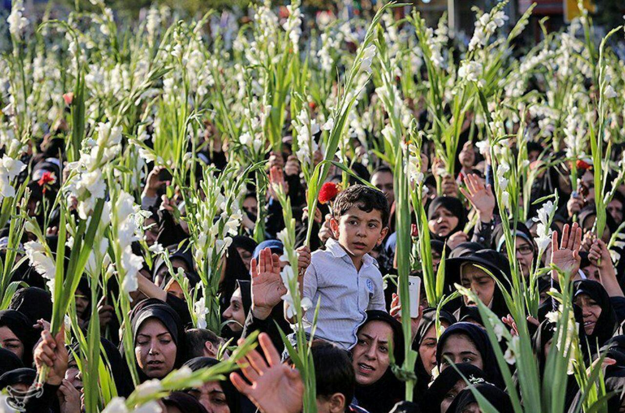 مشهد الرضا غرق در شورو شادمانی