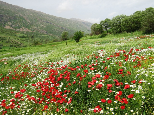 جاذبه های گردشگری استان کردستان +فیلم