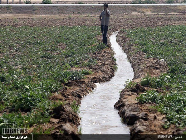 هدررفت 90 درصد آب در بخش کشاورزی