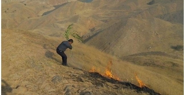 آتش سوزی در منطقه دره قیلای شهرستان اندیکا