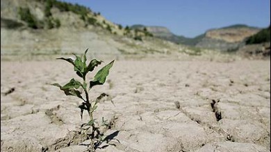 اعلام وضعیت بحرانی در تامین آب خوزستان