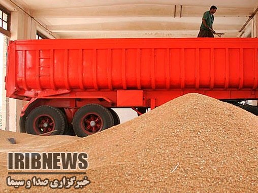 خرید 21 هزار تن گندم از کشاورزان مهاباد