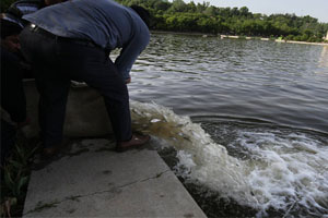 رهاسازی 50هزار قطعه بچه ماهی در دریاچه سد زاینده رود